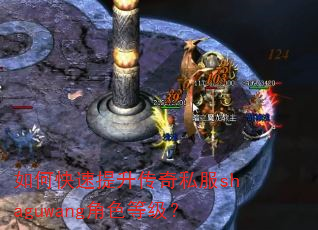 如何快速提升传奇私服shaguwang角色等级? 如何快速提升传奇私服shaguwang角色等级?