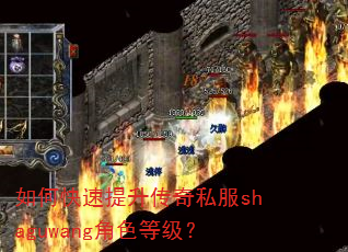 如何快速提升传奇私服shaguwang角色等级? 如何快速提升传奇私服shaguwang角色等级?