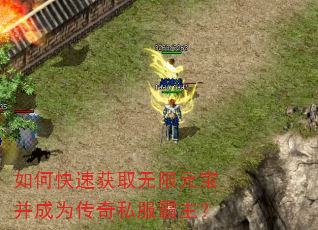 如何快速获取无限元宝并成为传奇私服霸主? 如何快速获取无限元宝并成为传奇私服霸主?