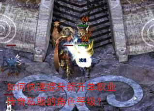 如何快速提升新开单职业传奇私服的角色等级? 如何快速提升新开单职业传奇私服的角色等级?