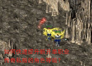 如何快速提升新开单职业传奇私服的角色等级? 如何快速提升新开单职业传奇私服的角色等级?