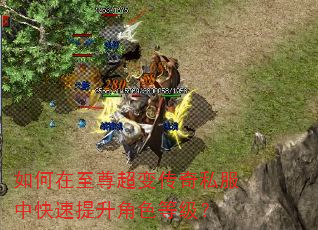 如何在至尊超变传奇私服中快速提升角色等级? 如何在至尊超变传奇私服中快速提升角色等级?
