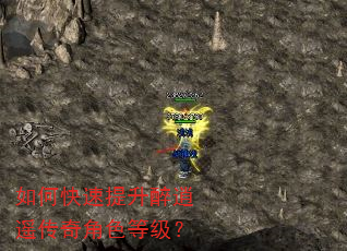 如何快速提升醉逍遥传奇角色等级? 如何快速提升醉逍遥传奇角色等级?