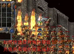如何快速提升角色等级?充值后有哪些独家福利? 如何快速提升角色等级?充值后有哪些独家福利?