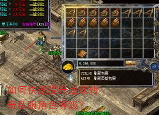 如何快速提升龙珠传奇私服角色等级? 如何快速提升龙珠传奇私服角色等级?