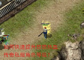 如何快速提升悠悠热血传奇私服角色等级? 如何快速提升悠悠热血传奇私服角色等级?