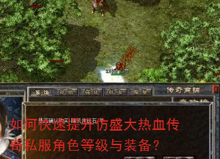 如何快速提升仿盛大热血传奇私服角色等级与装备? 如何快速提升仿盛大热血传奇私服角色等级与装备?