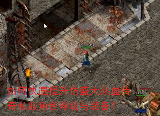 如何快速提升仿盛大热血传奇私服角色等级与装备? 如何快速提升仿盛大热血传奇私服角色等级与装备?