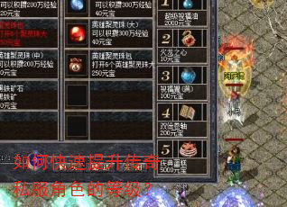 如何快速提升传奇私服角色的等级? 如何快速提升传奇私服角色的等级?