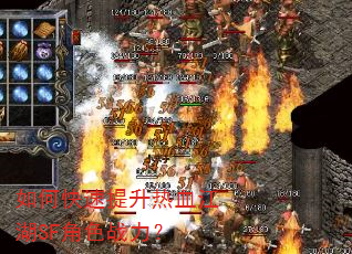 ��ο���������Ѫ����SF��ɫս����