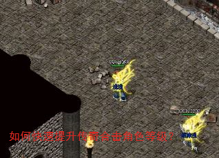 如何快速提升传奇合击角色等级? 如何快速提升传奇合击角色等级?