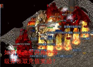 如何快速提升角色等级并领取充值奖励? 如何快速提升角色等级并领取充值奖励?