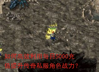 ��θ�Ч����ÿ��5000��ֵ��������˽����ɫս����