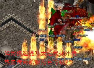 如何快速提升天语武林外传热血传奇私服角色等级? 如何快速提升天语武林外传热血传奇私服角色等级?