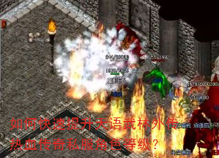 如何快速提升天语武林外传热血传奇私服角色等级? 如何快速提升天语武林外传热血传奇私服角色等级?