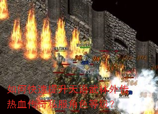 如何快速提升天语武林外传热血传奇私服角色等级? 如何快速提升天语武林外传热血传奇私服角色等级?