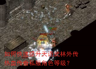 如何快速提升天语武林外传热血传奇私服角色等级? 如何快速提升天语武林外传热血传奇私服角色等级?