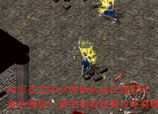 如何在3000ok传奇私服快速提升角色等级?新手装备获取攻略有哪些? 如何在3000ok传奇私服快速提升角色等级?新手装备获取攻略有哪些?