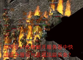 如何在sf传奇新开服务器中快速提升等级与获取顶级装备? 如何在sf传奇新开服务器中快速提升等级与获取顶级装备?