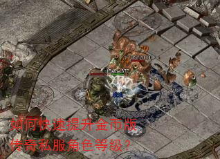 如何快速提升金币版传奇私服角色等级? 如何快速提升金币版传奇私服角色等级?
