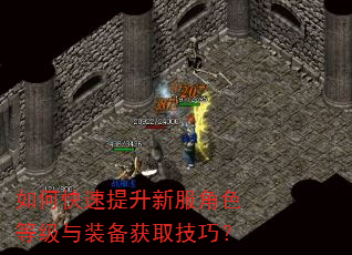 如何快速提升新服角色等级与装备获取技巧? 如何快速提升新服角色等级与装备获取技巧?