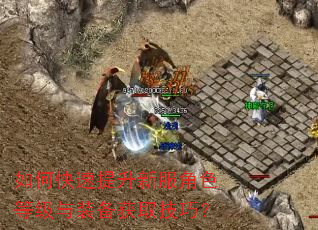 如何快速提升新服角色等级与装备获取技巧? 如何快速提升新服角色等级与装备获取技巧?