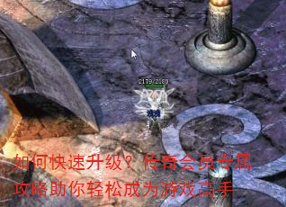 如何快速升级?传奇会员专属攻略助你轻松成为游戏高手 如何快速升级?传奇会员专属攻略助你轻松成为游戏高手