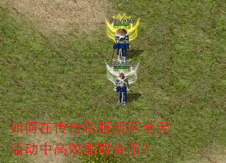 如何在传奇私服新区全天活动中高效刷取金币? 如何在传奇私服新区全天活动中高效刷取金币?