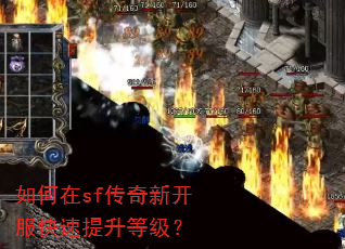 如何在sf传奇新开服快速提升等级? 如何在sf传奇新开服快速提升等级?