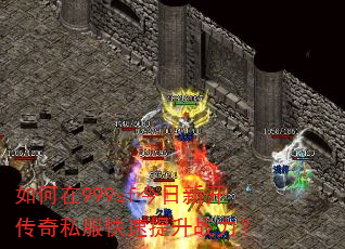 �����999sf�����¿�����˽����������ս����
