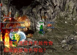 如何快速提升无赦传奇私服新服角色等级? 如何快速提升无赦传奇私服新服角色等级?