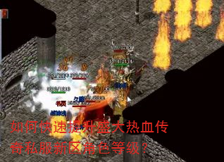 ��ο�������ʢ����Ѫ����˽��������ɫ�ȼ���
