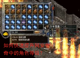如何快速提升网安传奇中的角色等级? 如何快速提升网安传奇中的角色等级?